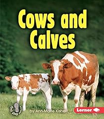Cows calves for sale  Delivered anywhere in USA 