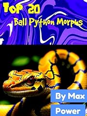 Top ball python for sale  Delivered anywhere in USA 