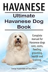 Havanese. ultimate havanese for sale  Delivered anywhere in UK