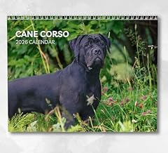 Cane corso calendrier d'occasion  Livré partout en Belgiqu