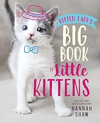 Kitten lady big for sale  Delivered anywhere in USA 