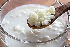 Organic kefir grains for sale  Delivered anywhere in UK
