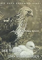 Vogel jungen vögel gebraucht kaufen  Wird an jeden Ort in Deutschland