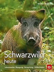 Schwarzwild lebensweise bejagu gebraucht kaufen  Wird an jeden Ort in Deutschland