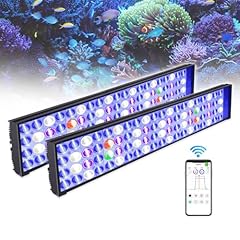 Popbloom hertz54 aquarium gebraucht kaufen  Wird an jeden Ort in Deutschland