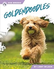 Goldendoodles for sale  Delivered anywhere in USA 