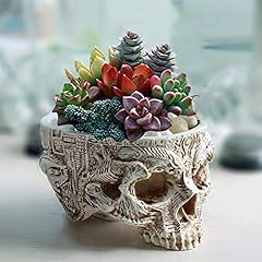 Skull potted plant for sale  Delivered anywhere in USA 