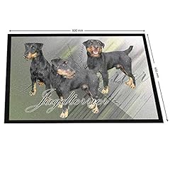 Pets easy tapis d'occasion  Livré partout en France