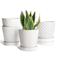 Efispss ceramic plant for sale  Delivered anywhere in USA 