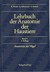 Lehrbuch anatomie haustiere gebraucht kaufen  Wird an jeden Ort in Deutschland