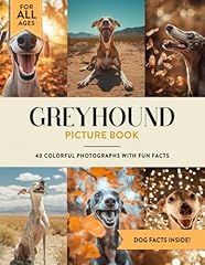 Greyhound picture book for sale  Delivered anywhere in UK