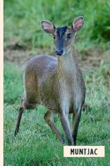 Muntjac perfect muntjac for sale  Delivered anywhere in UK