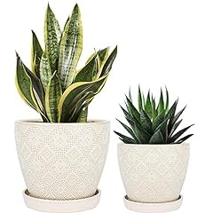 Docrin pots indoor for sale  Delivered anywhere in USA 