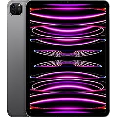 2022 apple ipad gebraucht kaufen  Wird an jeden Ort in Deutschland
