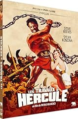 Travaux hercule combo d'occasion  Livré partout en France