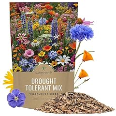 Drought tolerant wildflowers for sale  Delivered anywhere in USA 