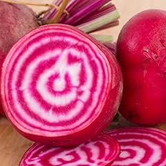 Beetroot chioggia seeds for sale  Delivered anywhere in UK