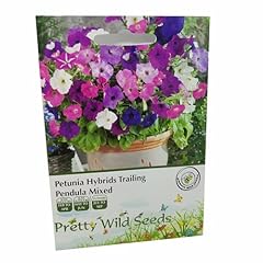 000 petunia hybrids for sale  Delivered anywhere in UK