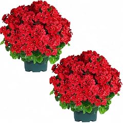Qianyun artificial topiary for sale  Delivered anywhere in USA 