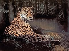 Charles frace jaguar for sale  Delivered anywhere in USA 