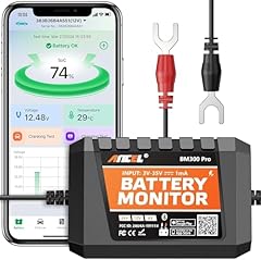 Ancel bm300pro 12v gebraucht kaufen  Wird an jeden Ort in Deutschland