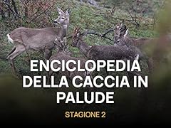 Enciclopedia della caccia usato  Spedito ovunque in Italia 
