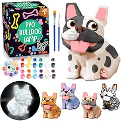 Funzbo paint dog for sale  Delivered anywhere in USA 