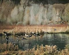 Wildlife animal wall for sale  Delivered anywhere in USA 