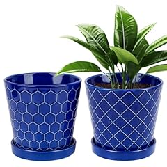 Buymax plant pots for sale  Delivered anywhere in USA 