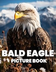 Bald eagle picture for sale  Delivered anywhere in USA 