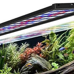 Aqqa aquarium plant for sale  Delivered anywhere in USA 