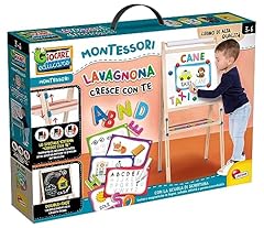 Lisciani giochi montessori usato  Spedito ovunque in Italia 