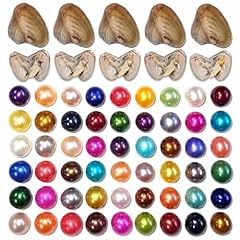 50pc oyster round for sale  Delivered anywhere in USA 