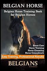 Belgian horse belgian for sale  Delivered anywhere in USA 