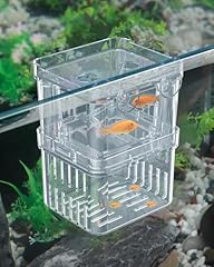 Pawfly acquario pesce usato  Spedito ovunque in Italia 