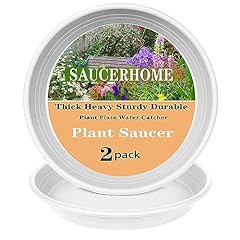 Saucerhome packs plant for sale  Delivered anywhere in USA 