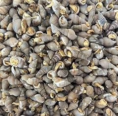 Futterschnecken getrocknet kug gebraucht kaufen  Wird an jeden Ort in Deutschland