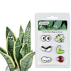 Homdsg cute plant for sale  Delivered anywhere in USA 