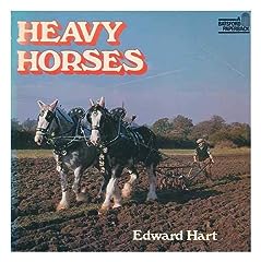 Heavy horses for sale  Delivered anywhere in UK