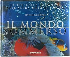 Sommerso. ediz. illustrata usato  Spedito ovunque in Italia 