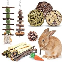 Erkoon kaninchen zubehoer gebraucht kaufen  Wird an jeden Ort in Deutschland