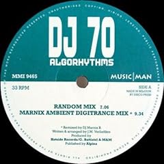 Algorhythms vinyl maxi usato  Spedito ovunque in Italia 