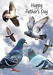 Racing homing pigeon for sale  Delivered anywhere in UK