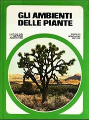 Gli ambienti delle usato  Spedito ovunque in Italia 