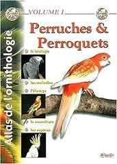 Perruches perroquets d'occasion  Livré partout en Belgiqu