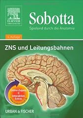 Sobotta spielend durch gebraucht kaufen  Wird an jeden Ort in Deutschland