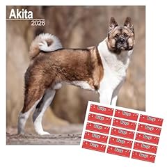 Akita calendar 2026 for sale  Delivered anywhere in UK