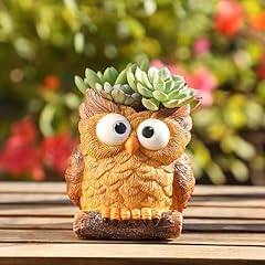 Owl shaped flower for sale  Delivered anywhere in USA 