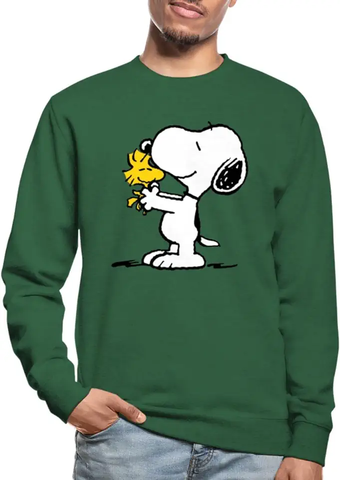Peanuts Snoopy En Woodstock Mannen Sweater tweedehands  