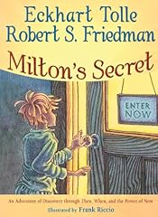 Milton secret adventure gebraucht kaufen  Wird an jeden Ort in Deutschland